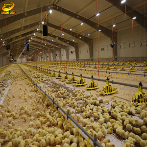 Factory provide structure steel Farm chickens broiler shed building design Henhouse - Product Image 2