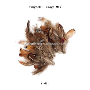 <span class=keywords><strong>Venta</strong></span> al por mayor 4-26 ''Natural barato <span class=keywords><strong>de</strong></span> Ringneck faisán plumas <span class=keywords><strong>de</strong></span> la cola Festival <span class=keywords><strong>de</strong></span> la decoración <span class=keywords><strong>de</strong></span> calidad superior - Product Image 5