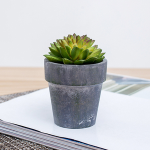 Hỗn Hợp nhỏ Nhân Tạo Các Loài Xương Rồng Trong Chậu trong Hình Dạng Tròn Trắng Gốm Chậu Hoa - Product Image 1