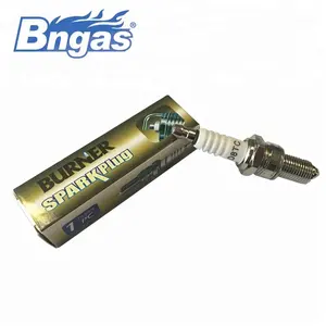 Motorcycles spark plug