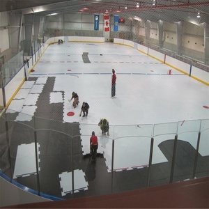 Zspe mạnh trượt ván tổng hợp trượt băng khúc côn cầu trên băng Cách Mạng Giày trượt an toàn bên ngoài sân khúc côn cầu - Product Image 3