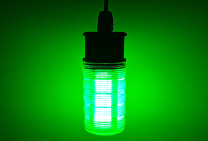 12 V Lumière De Pêche SMD5630 LED Sous-Marine De Pêche Leurre <span class=keywords><strong>Poisson</strong></span> Finder <span class=keywords><strong>Lampe</strong></span> - Product Image 5