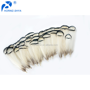 HP-25 Dame Amherst Pointes Blanches Plumage Naturel 1.5-3 pouces Blanc Plumes De Paon - Product Image 1