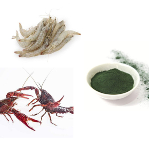 Penjualan Terbaik Pabrik ISO Spirulina Ekstrak Ganggang Biru, Suplemen Pakan Ayam - Product Image 3
