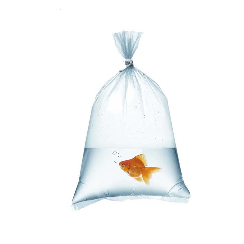 Sacs en plastique respirant pour Aquarium, Poly sacs de Transport des poissons, accessoire de respiration, 100 pièces