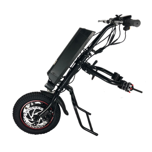 Sannce — vélo électrique pliable de 12 pouces, fonction avant et arrière, 36v 250w, en vogue, EN15194 - Product Image 1