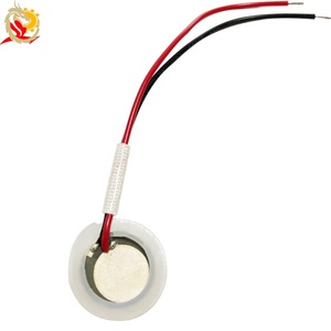 <span class=keywords><strong>Atomizer</strong></span> jala keramik Piezo 1.7mhz, <span class=keywords><strong>Nebulizer</strong></span> ultrasonik piezoelektrik transduser piezoelektrik - Product Image 1