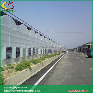 Arco techo tipo de contenedor de jardinería de <span class=keywords><strong>tomate</strong></span> de efecto invernadero - Product Image 2