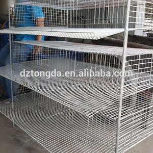 Cages pour <span class=keywords><strong>Caille</strong></span> <span class=keywords><strong>Prix</strong></span> Treillis métallique Cailles Cage Couche Quail - Product Image 2