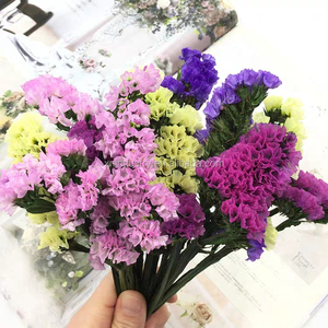 Fiori Secchi di Non-Ti-Scordar-Di-Me Blu Preservati dello Yunnan, Statice <span class=keywords><strong>e</strong></span> Limonium per Laurea, MOQ 50 Pezzi - Product Image 6