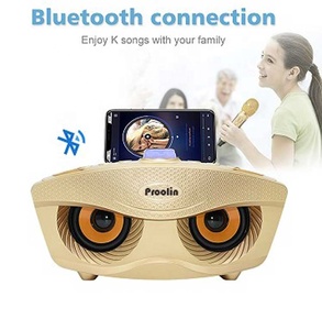 2019 el más nuevo portátil familia KTV <span class=keywords><strong>karaoke</strong></span> altavoz BT inalámbrico con micrófono 20 vatios altavoz USB TF - Product Image 2