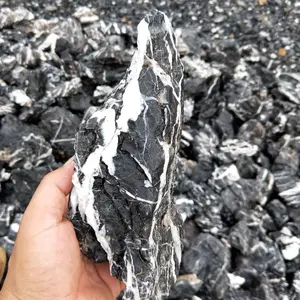 सजावटी ब्लैक ड्रैगन qinglong मछलीघर पत्थर रॉक ड्रैगन पत्थर seiryu पत्थर