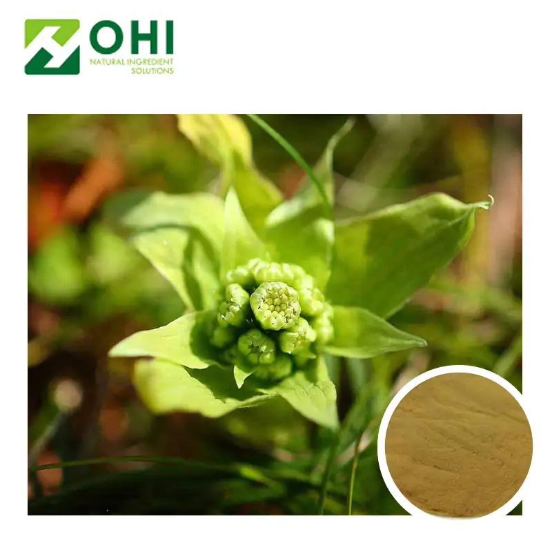 Extracto de hierbas de alta calidad, extracto de hoja de mariposa, 15% de muestra gratis, extracto de Petasites japonicus