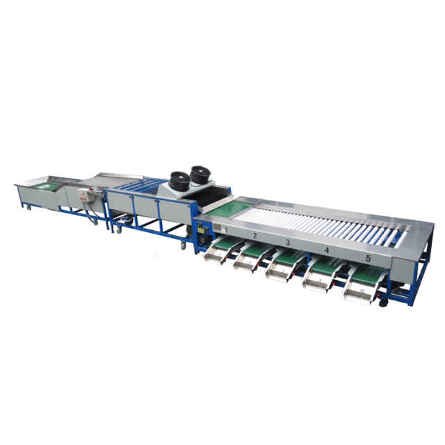 Automatic Fruit Vegetable Grading Machine for Size Sorting