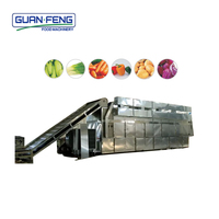 Oferta Especial: Deshidratador Comercial e Industrial de Frutas y Verduras, Máquina para Secar Tomates y Mango
