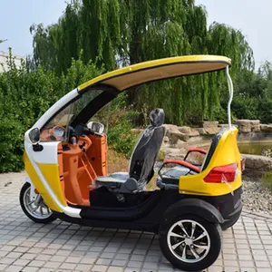 OEM 맞춤형 전기 골프 카트 스쿠터 삼륜 관광 자동차 미니 골프 카트