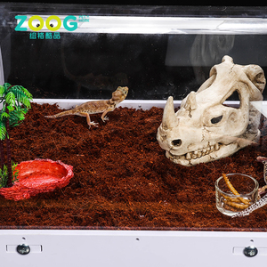 Acrílico Reptiles terrario contenedor anfibios las larvas de las arañas las hormigas los escorpiones lagartos camaleón - Product Image 5