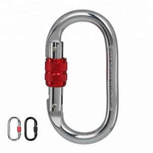 <span class=keywords><strong>Xin</strong></span> 25kN pesado oval tornillo puerta de acero inoxidable mosquetón escalada senderismo - Product Image 3