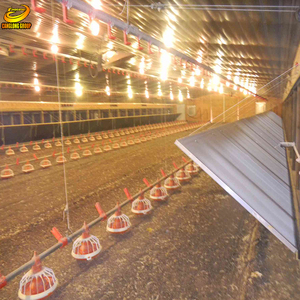 Factory provide structure steel Farm chickens broiler shed building design Henhouse - Product Image 1