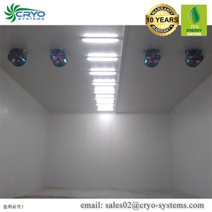 En vrac banane fruits biologiques salles de stockage à froid du vendeur <span class=keywords><strong>masterbuilt</strong></span> promenade dans le refroidisseur - Product Image 2
