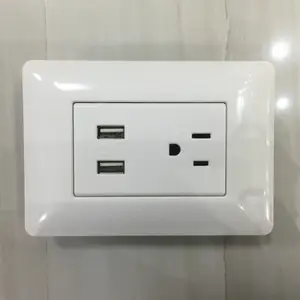 畅销秘鲁电插座和双 USB 插座 220 V