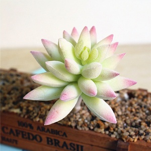 DIY 白色红色绿色植绒人造肉质植物