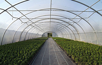 Tour de serre en polycarbonate à tunnel simple, perche pour légumes domestique avancé