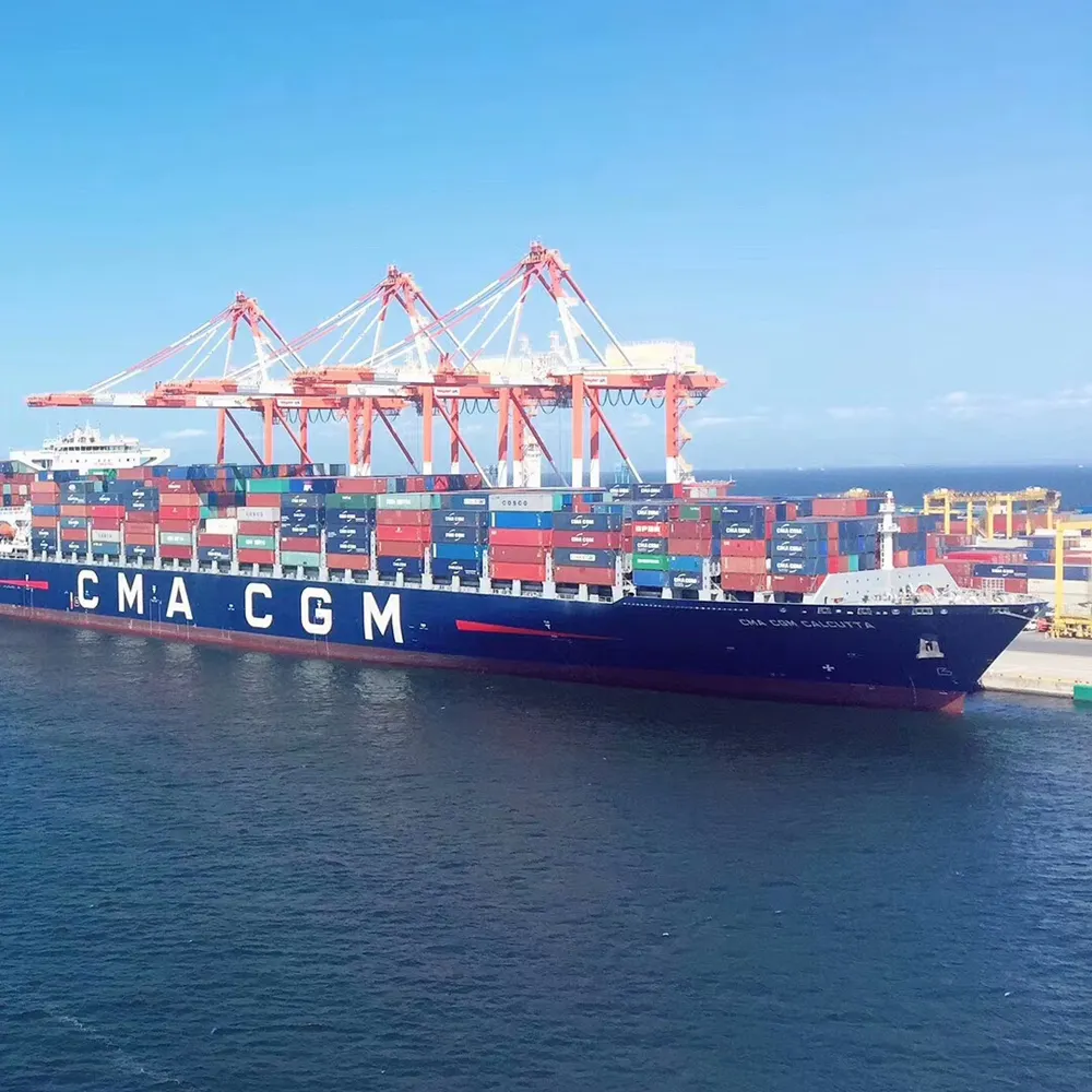 Agente de logística de transporte do oceano freight forwarder de Qingdao para Antuérpia, Na Bélgica e na Europa