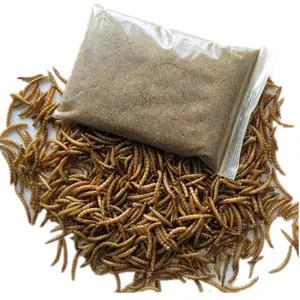 थोक पक्षी बीज आपूर्तिकर्ताओं थोक पक्षी बीज सूखे पीला Mealworms