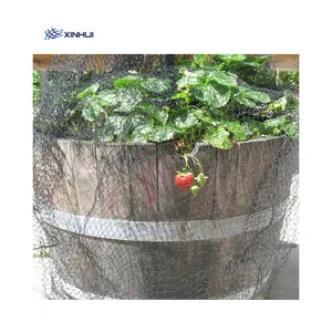 Agriculture Net With UV Plastic Trapping Catching Capture For Catching Birds Anti Bird Nets Agricultural Bird Netting