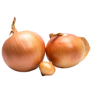 Hành Tây Nhỏ Màu Vàng Đỏ Cỡ Nhỏ Giảm Giá Mạnh Của Trung Quốc - Product Image 1