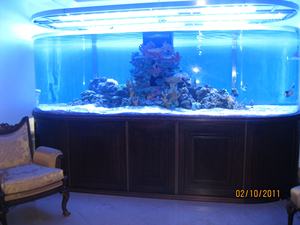 Réservoir de poissons en acrylique d'occasion, bassin pour poissons et aquarium, grande taille - Product Image 5