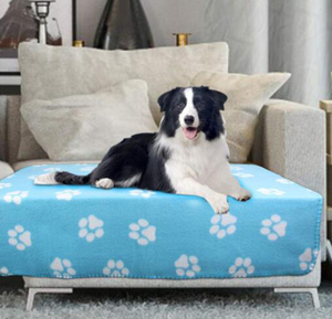 Perro/gato manta 100% poliéster impreso <span class=keywords><strong>de</strong></span> punto caliente tirar ropa <span class=keywords><strong>de</strong></span> cama <span class=keywords><strong>de</strong></span> lana polar para mascotas pet <span class=keywords><strong>de</strong></span> fábrica <span class=keywords><strong>de</strong></span> china - Product Image 3