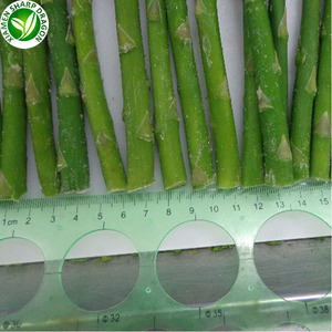 Chino fresco congelado IQF espárragos para venta - Product Image 5