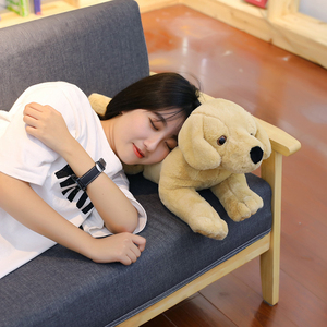 Trung quốc 2019 Mới Đồ Chơi Sang Trọng Bán Buôn Đáng Yêu Sống Động Như Thật Con Chó Labrador Sang Trọng Đồ Chơi Trẻ Em như của Con Chó Gối - Product Image 5