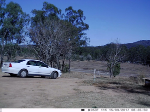 Édition australienne IP66 résistant aux intempéries 0.3s Wildlife Night Vision Digital Trail <span class=keywords><strong>4G</strong></span> Hunting Trail Camera SW4.3G - Product Image 6