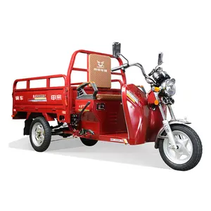 인기있는 전기 모터 세발 자전거 화물 스쿠터 오토바이 3