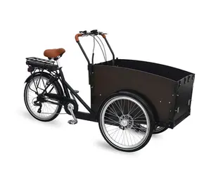 Familia bicicleta de carga 3 tekerlekli elektrikli bisiklet