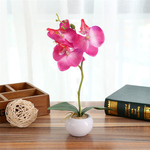Artificial Phaleanopsis Acuerdo con florero decorativo florero flor de <span class=keywords><strong>la</strong></span> orquídea Bonsai <span class=keywords><strong>rocalla</strong></span> serie - Product Image 1