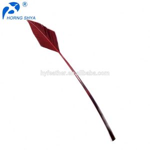 Alibaba Offre Spéciale 10-13 pouces Garnis Turquie Piquants Teints Plumes de Flèche - Product Image 6