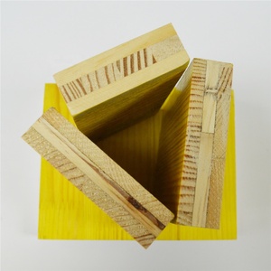 Leonking Chất lượng cao 1000*500mm màu vàng ven biển PF keo 8%-12% CN; anh ván khuôn 21/27mm xưởng TT L/C D/P bao gồm - Product Image 5