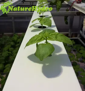 Efecto invernadero planta de PVC de plástico cuadrado Vertical cultivo hidropónico de