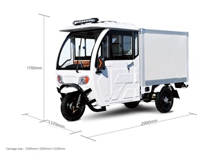 Consegna del carico <span class=keywords><strong>3</strong></span> ruote Elettrico Tricicli Con Isolamento di Trasporto per la Vendita - Product Image 1