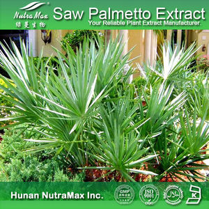 Serenoa Repens özü <span class=keywords><strong>Saw</strong></span> <span class=keywords><strong>Palmetto</strong></span> ekstresi tozu % 25%-90% yağ asitleri ve sterolleri (GC) - Product Image 3
