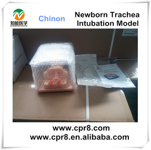 <span class=keywords><strong>Recursos</strong></span> Didácticos BIX-J2A bebé recién nacido airway intubación maniquí - Product Image 5