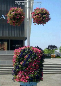 Flowerball מכירה לוהטת חדש עיצוב דקורטיבי גן פרח ביצוע סיר תליית כדור בצורת עציץ - Product Image 2