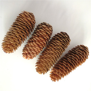 Boxed Natural <strong>Pinecones</strong> and Dried Flowers for Christmas Ornaments and Shooting Props with Flocking Printing Techniques - Product Image 3