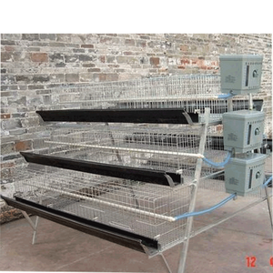 Jaula de colocación de batería de pollo criador tipo capa a la venta para el <span class=keywords><strong>mercado</strong></span> de Nigeria - Product Image 4