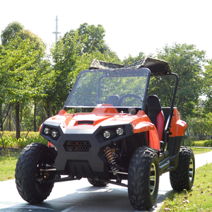 2018 precio de fábrica adultos eléctrico UTV dune buggy <span class=keywords><strong>2000</strong></span> W - Product Image 3