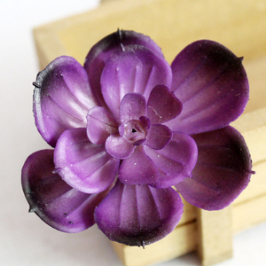 Più nuovo Disegno di Plastica Piante Succulente <span class=keywords><strong>Mini</strong></span> Artificiale Pianta Grassa Senza Pentola
